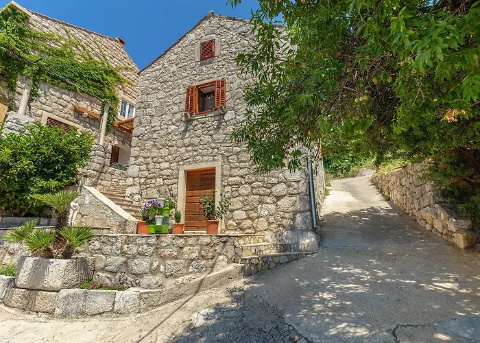Summer Cottage